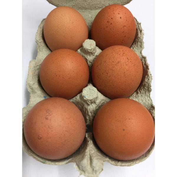 新鲜鸡蛋6个装
