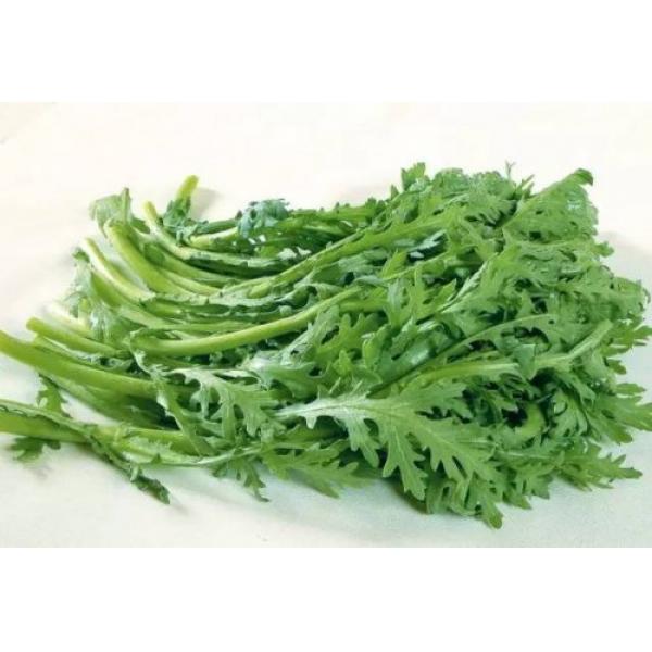 茼蒿菜 10.00/KG