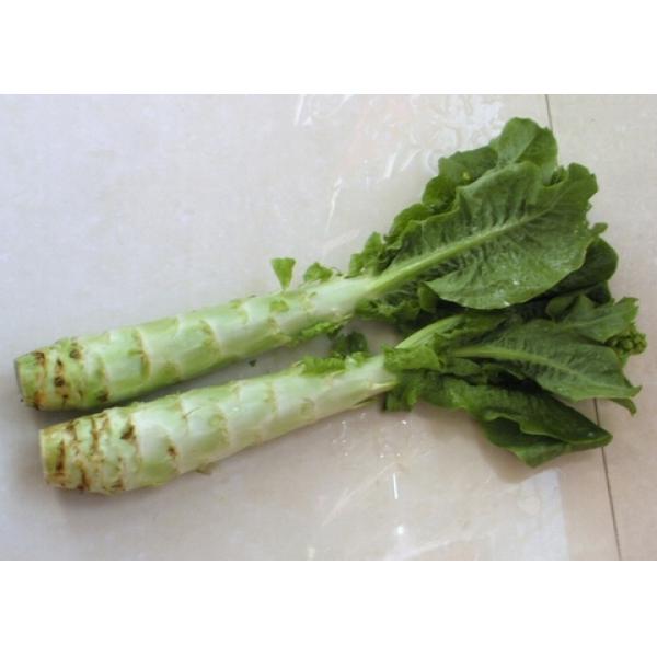 莴笋10/KG
