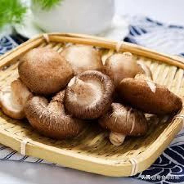 新鲜香菇200G