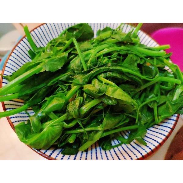 豆苗 £28/KG