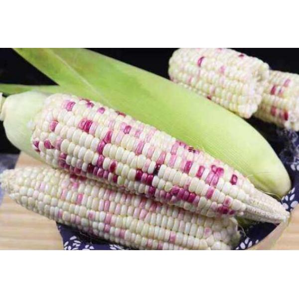 农嫂黄糯玉米220G